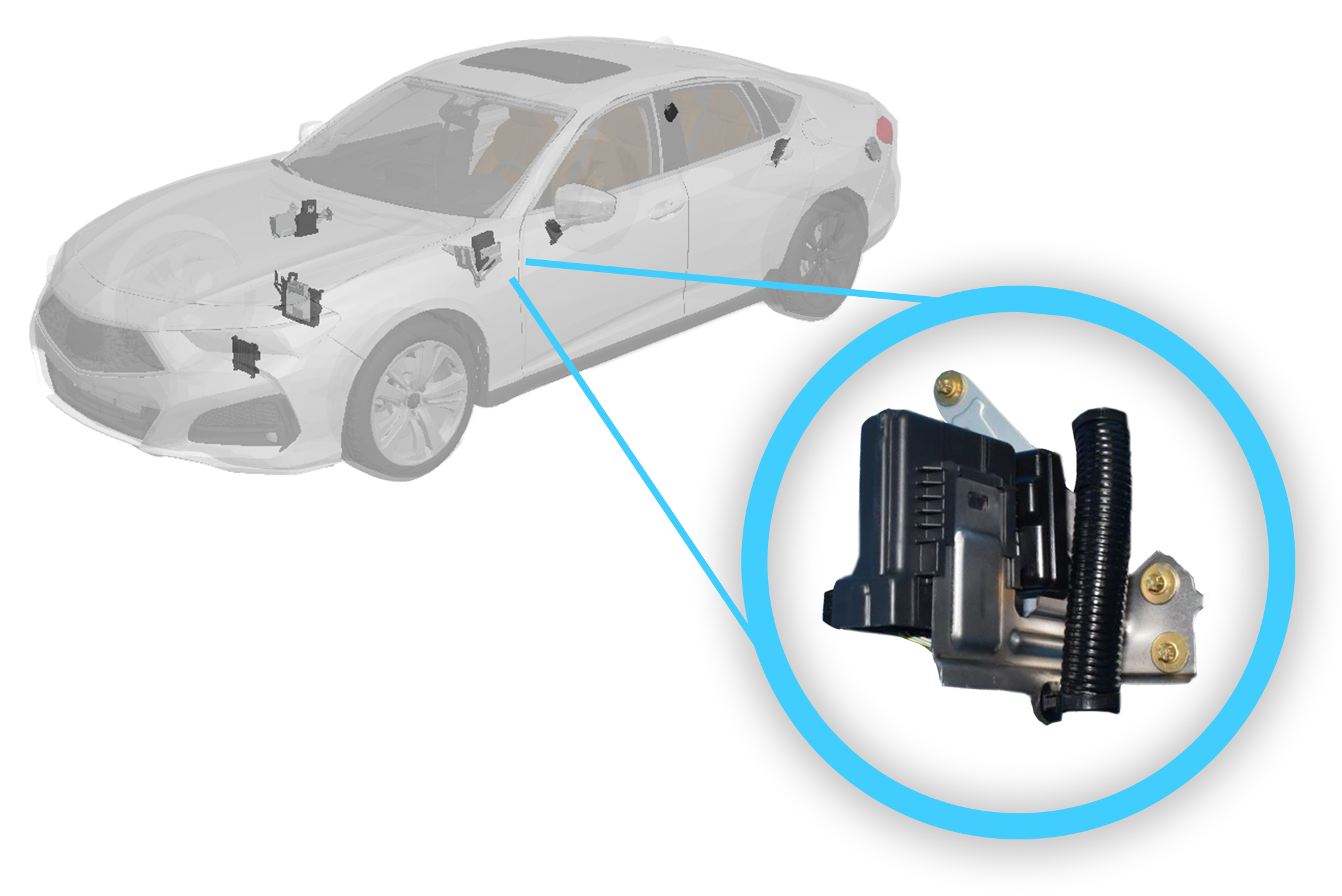 ECU Todays Market ECU Todays Market