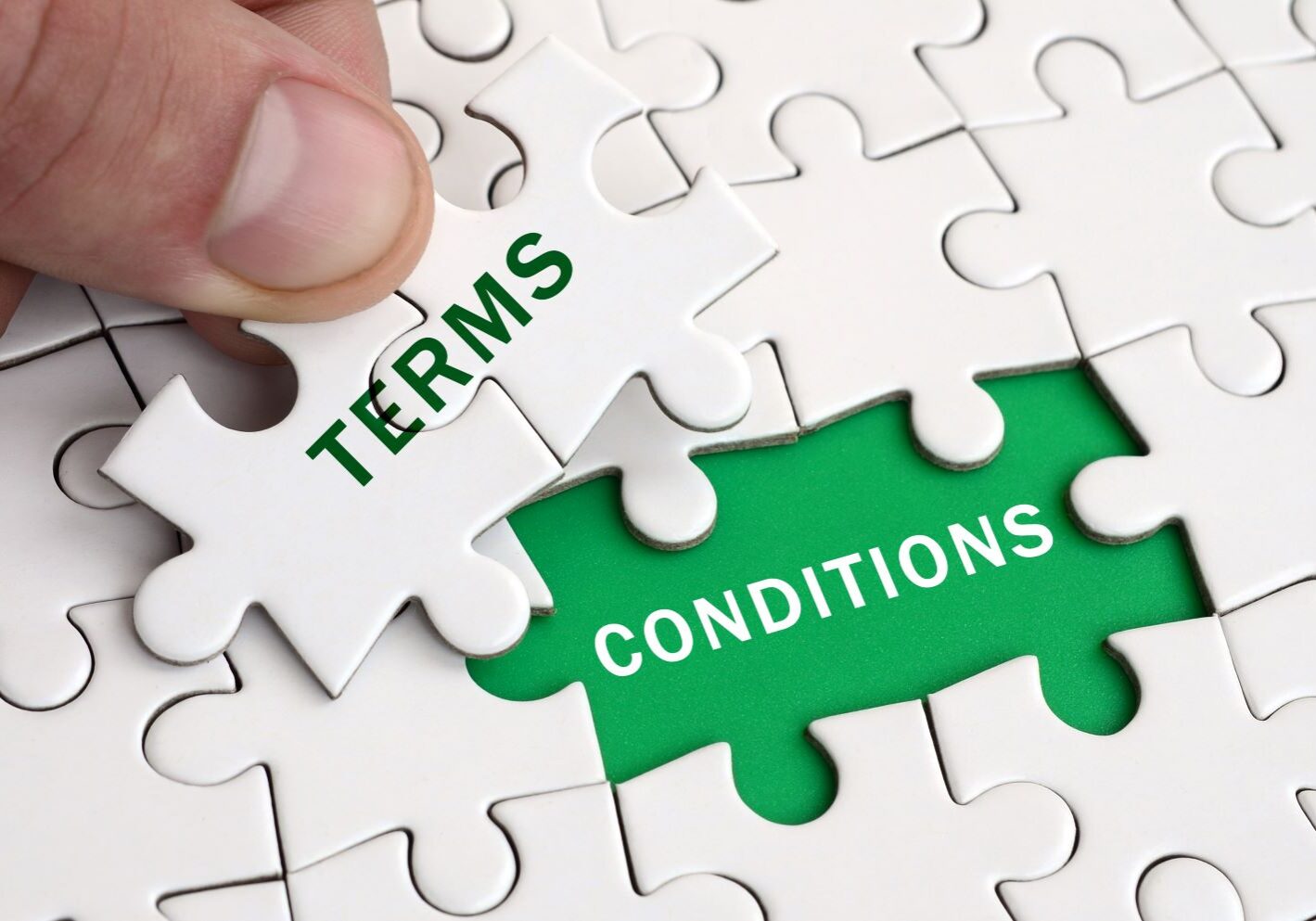 Purchasing Terms and conditions